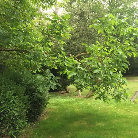 Les Vieilles Ombres *